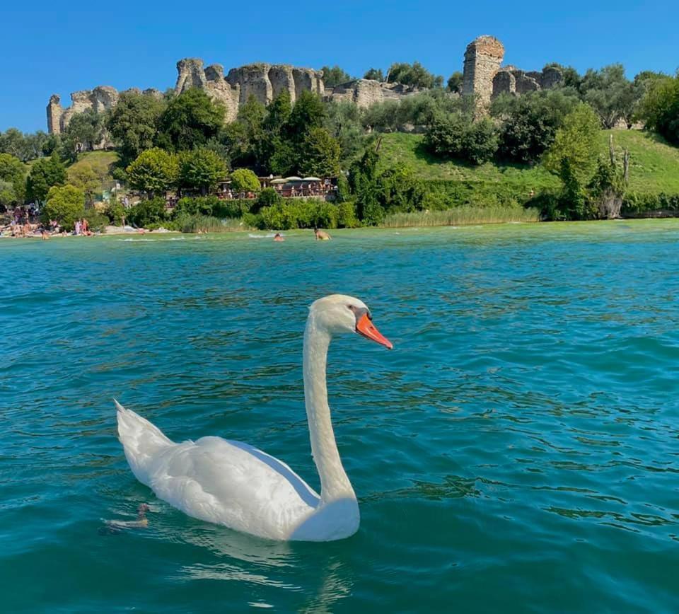 Appartamento Casa Vacanze Spiaggia D'Oro Desenzano del Garda Buitenkant foto